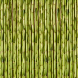 Bamboo Green Vertical, Fusion Organics Collection