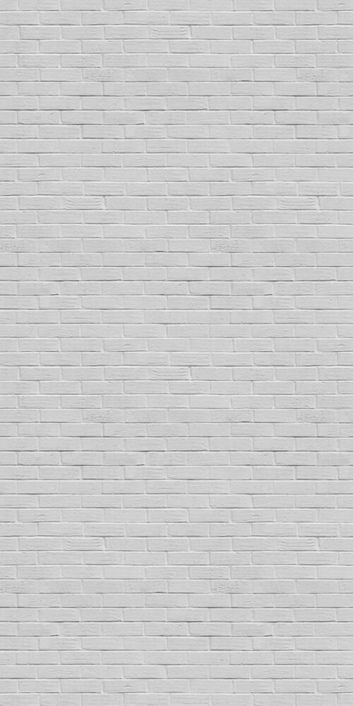 Brick Wall Painted White