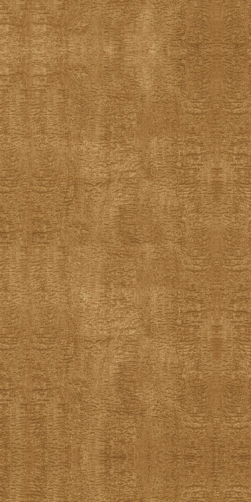 Curly Maple 4' x 8' Panels (Fusion, Wood Collection)