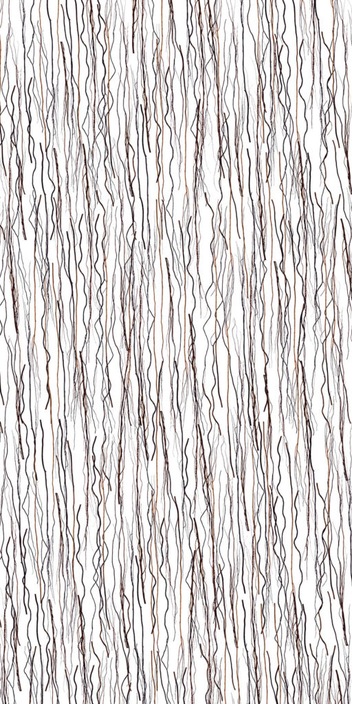 Curly Willow Vertical (Sample) | ATI Decorative Laminates