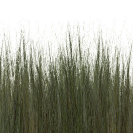 Dune Grass Panels (Fusion, Organics Collection)