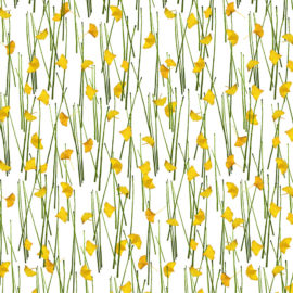 Ginkgo Reeds Green and Yellow (Fusion, Organics Collection)