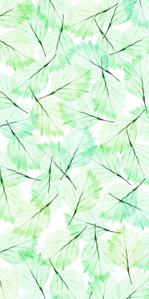 Leaves Modern Green Aqua 4' x 8' Panels (Fusion, Organics Collection)
