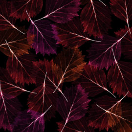 Leaves Modern Inverted 4' x 8' Panels (Fusion, Organics Collection)