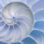 Nautilus Sky Blue 4' x 8' Panels (Fusion, Photographic + Illustrated Collection)