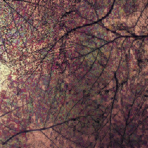 Patina Autumn Leaves - C421 (NuMetal, Unique Art Collection)
