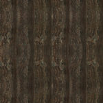 Petrified Wood 4' x 8' Panels (Fusion, Stone + Tile Collection)