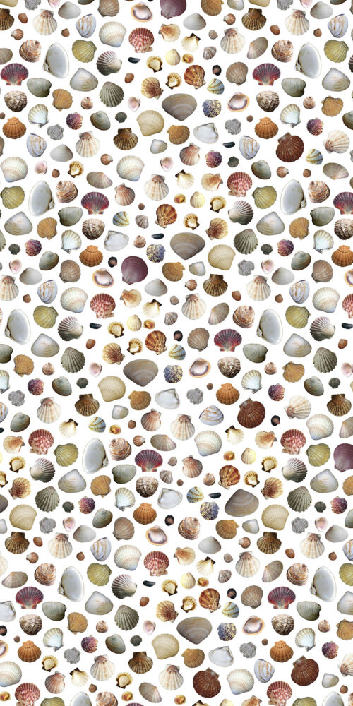 Shells 4' x 8' Panels (Fusion, Photographic + Illustrated Collection)