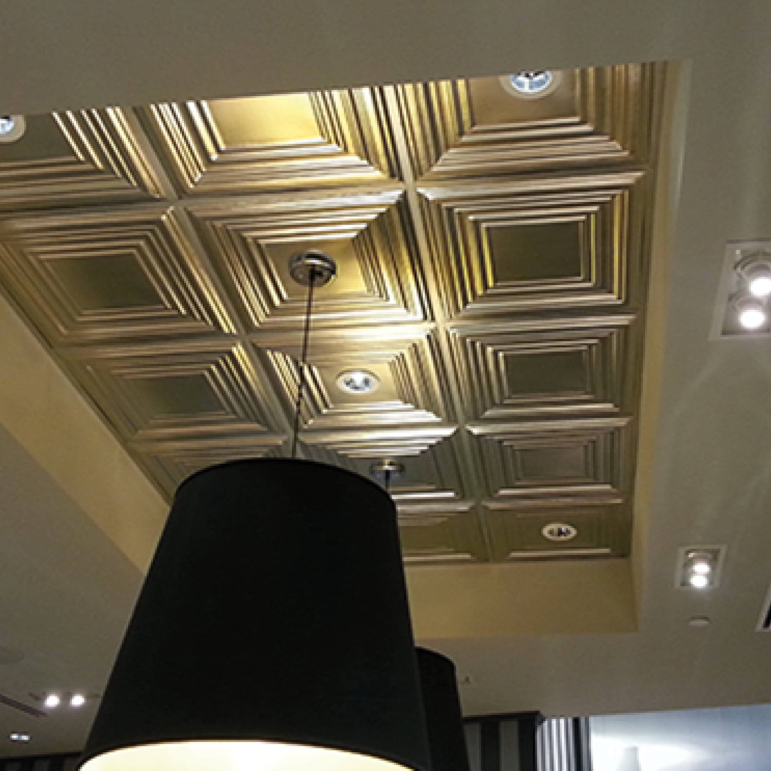 Store Category Image - MirroFlex Lay-In Ceiling Tiles