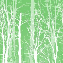 Winter Trees Green, 4' x 8' Panel (Fusion, Photographic & Illustrated Collection)