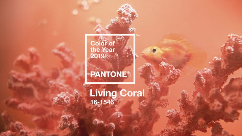 Featured | Living Coral, the Pantone Color of the Year 2019