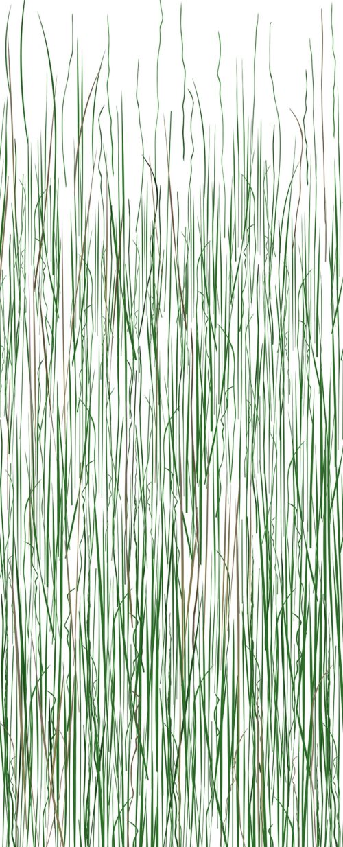Mountain Grass, Spring (4x8 Panel)
