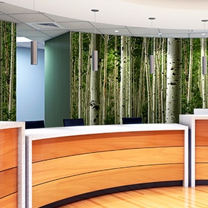The Formula (Pictured) | Aspen Forest Mural + LuxCore Plus (Fusion Wall Panels)