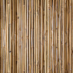 Bamboo Wall, 4' x 8' Panel (Fusion, Organics Collection/Photographic and Illustrated Collection)
