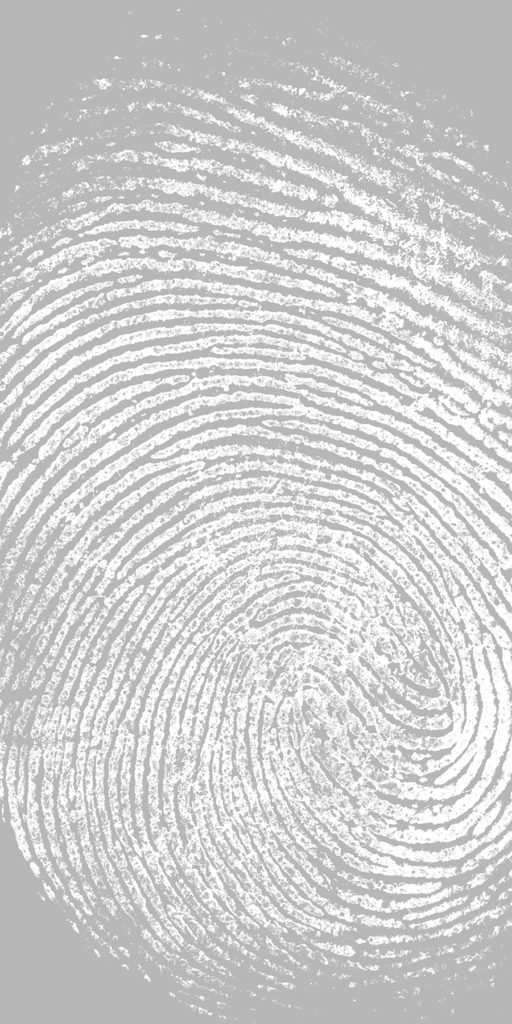 Clue 2 Frosted (Sample) ATI Decorative Laminates