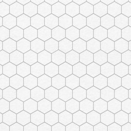 Hexagonal Tiles 5 inch