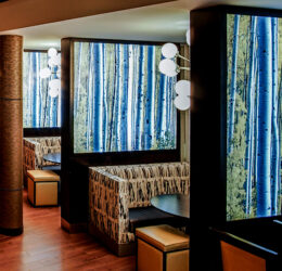 BISTRO PODS LUMISPLASH